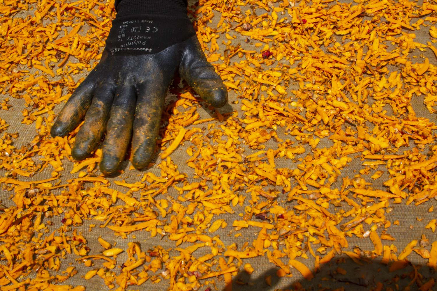 Curcuma Power - bio - Image 3