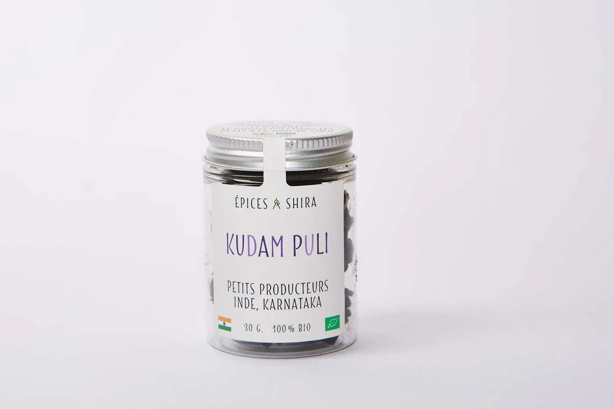 Kudam Puli – bio - Image 3