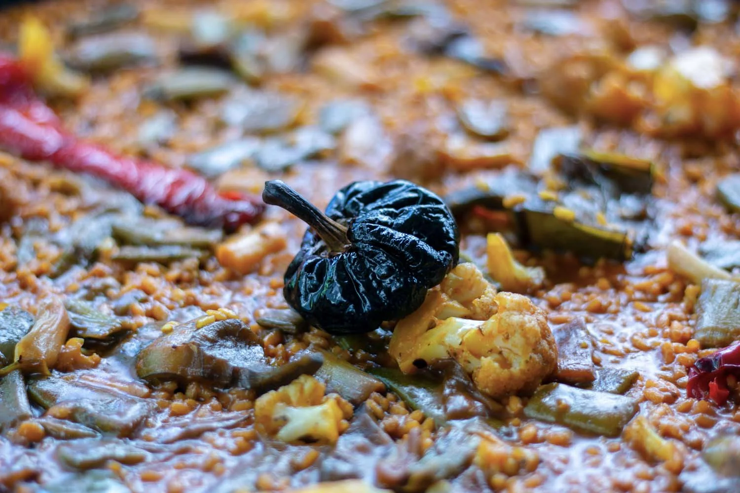 Piment ñora de Murcia - bio - Image 9